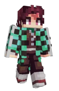 Front of iMindle's skin