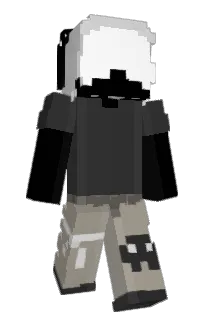 Front of 1cam1's skin