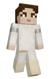IceBerry08's Minecraft skin