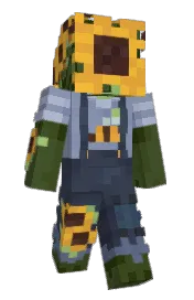 Skin preview