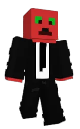 Minecraft skin — Classic model