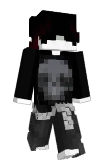 Front of bprint's skin