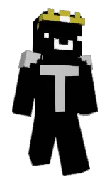 Minecraft skin — Classic model