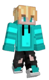 _aid1n's Minecraft skin wearing the Migrator cape