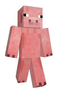 pigman27's Minecraft skin