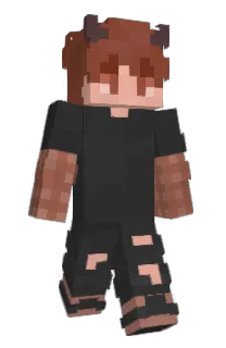 Front of Seethh's skin