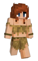 Classic Minecraft skin