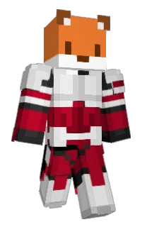 Front of CdrFox3's skin
