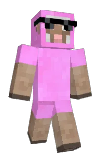Front of bidoofs's skin