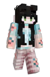 Skin preview