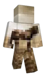 paicocos's Minecraft skin wearing the Migrator cape