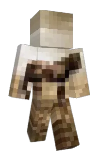 Front of paicocos's skin