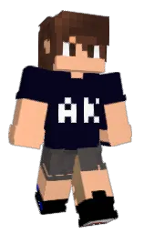 Minecraft skin — Classic model