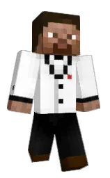 white and black Minecraft skin — Classic model — first worn by rnalol