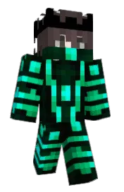 Skin preview