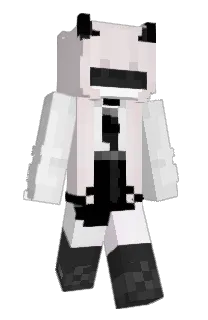 Front of LifeHmm's skin