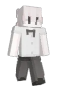 ancil