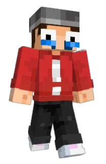 Front of R24J's skin