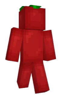 Front of camiyee's skin