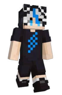 Front of ITesun's skin