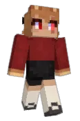 AnkiX3