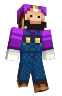 Front of the113zone's skin