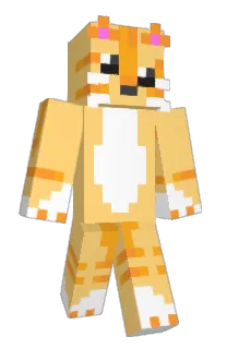 Front of Sylyn's skin