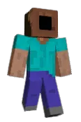 TryHardKoala