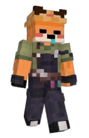 Skin preview