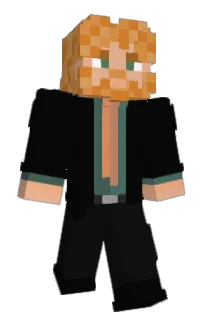 Front of 2D_s's skin