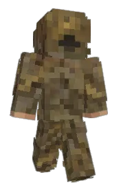 Skin preview