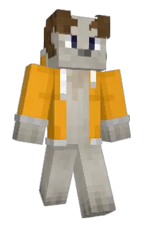Front of Ignam's skin