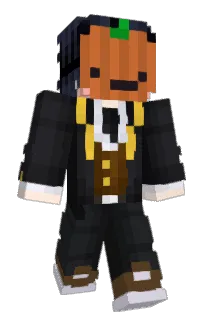 Front of SON05's skin