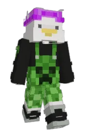 Skin preview