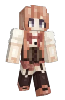 Front of Macrochip's skin