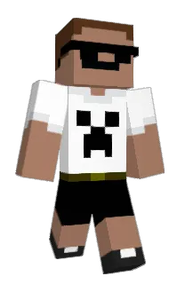 Front of napiwek's skin