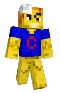 Front of Twize's skin