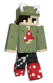 Skin preview