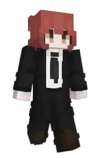 Front of Hivise's skin