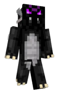 Front of Fulpix's skin