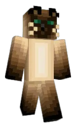 Classic Minecraft skin