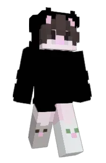 Front of Ramezsushi's skin