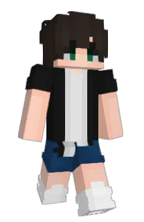 Front of axlc's skin