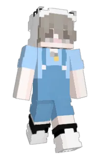 Front of Henrizkj's skin