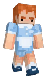 rose bud and seagull Minecraft skin — Slim model