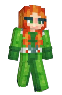 Front of S5INT's skin