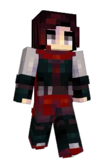 noctudim's Minecraft skin