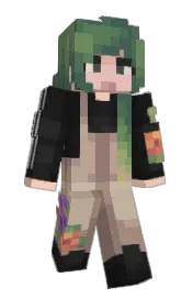 Skin preview