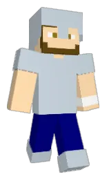 Minecraft skin — Classic model