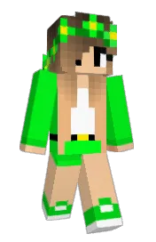 Skin preview